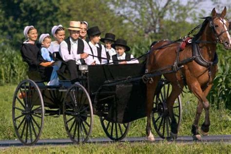 The Amish Quech: An Example of Sustainable Farming Practices